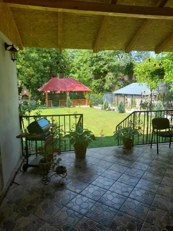 Casa Valea Morilor Guest House Eftimie Murgu ภายนอก รูปภาพ